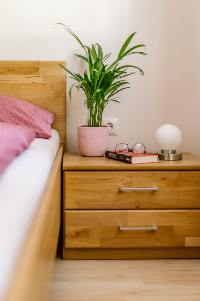 Nachttisch mit Leselampe, Buch und Zimmerpflanze im Schlafzimmer der Ferienwohnung Alte Pfarrgasse 5